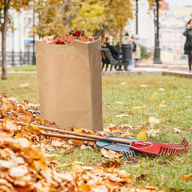 Paper Lawn And Leaf Bags
